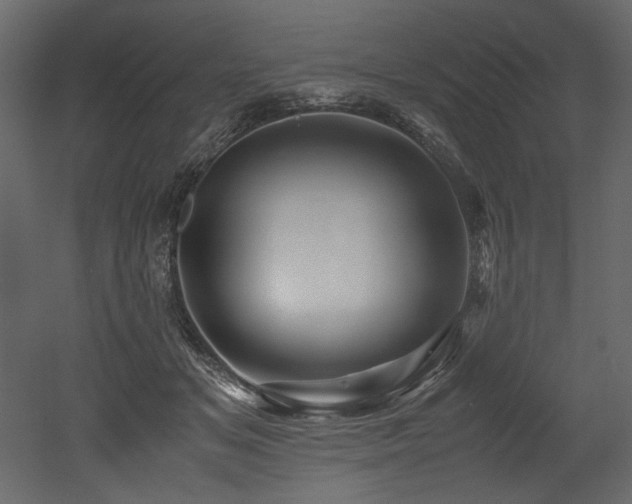 X0000052990509200507081153