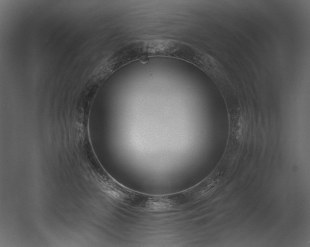 X0000052990510200507081153