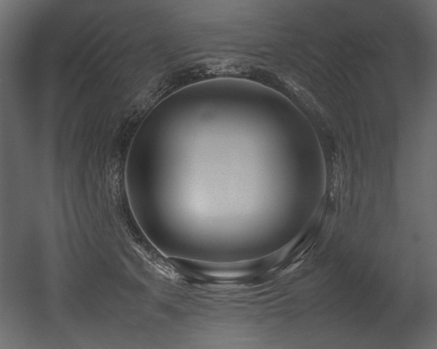 X0000052990513200507081153