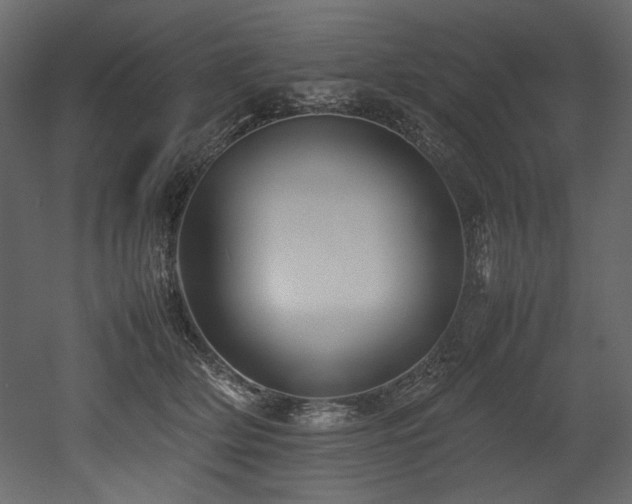 X0000052990514200507081152