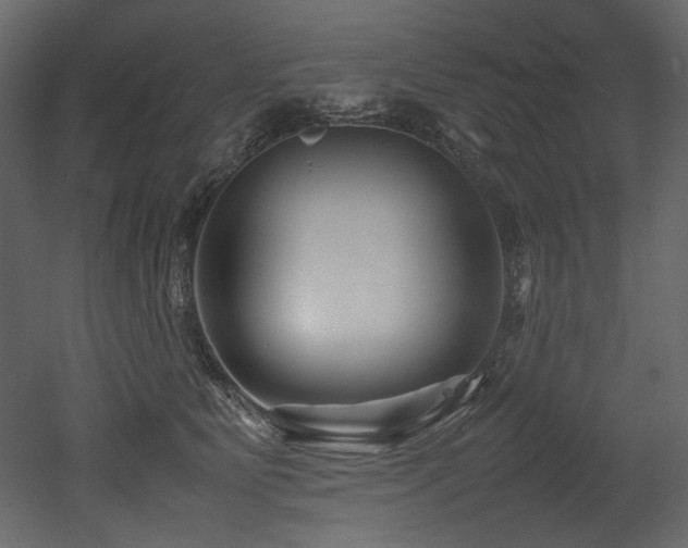 X0000052990515200507081152