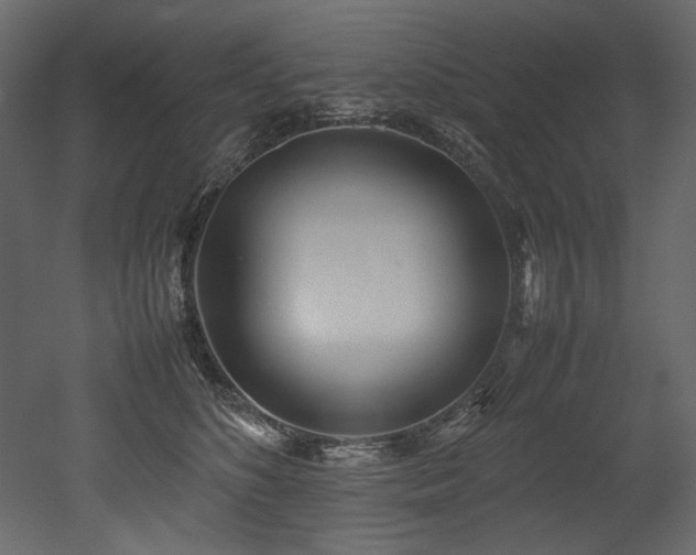 X0000052990516200507081152