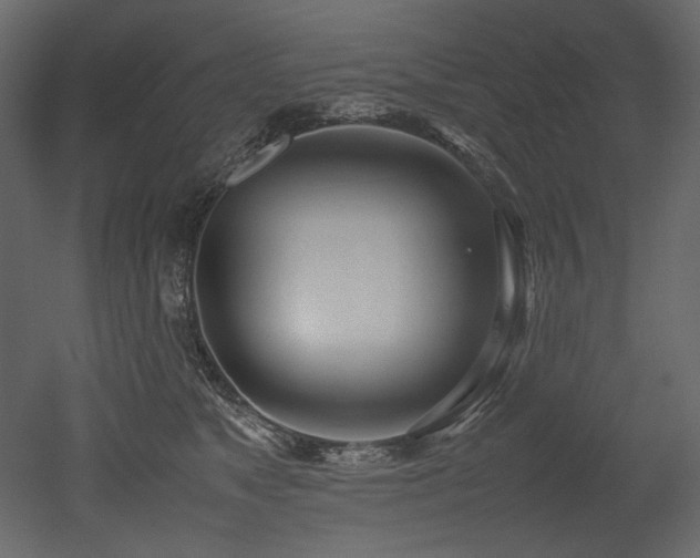 X0000052990517200507081152