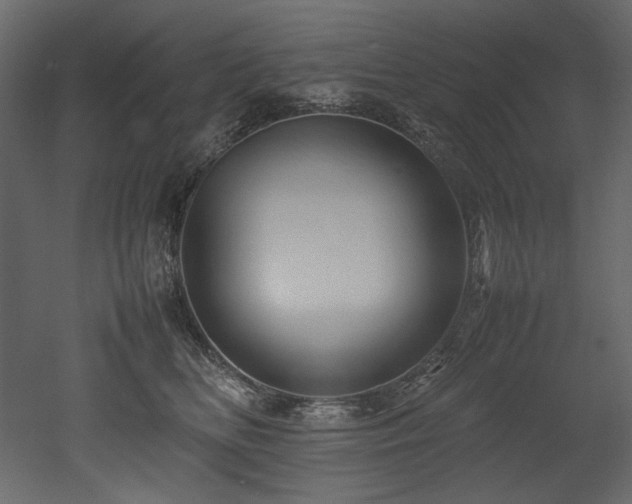 X0000052990518200507081152