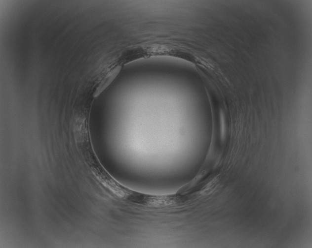 X0000052990521200507081152