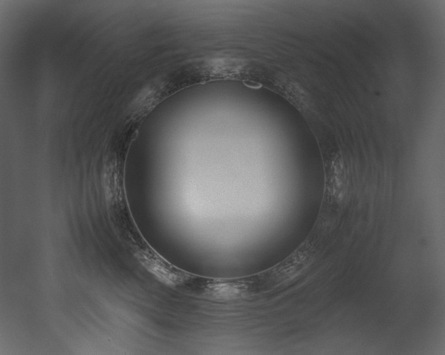 X0000052990522200507081152
