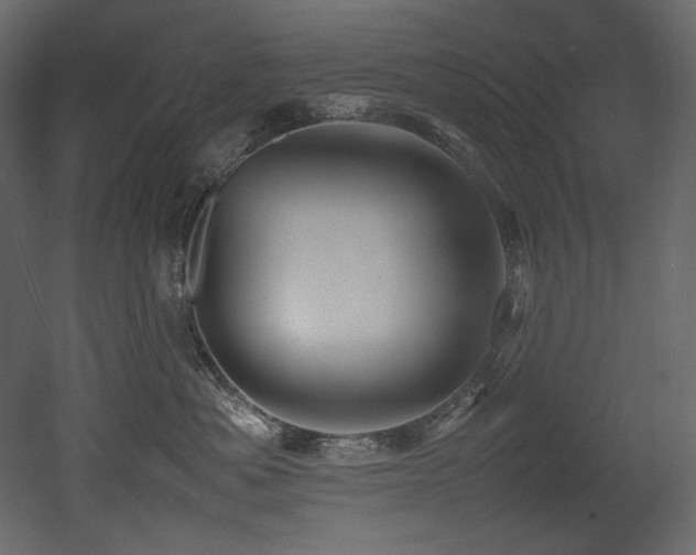 X0000052990525200507081152