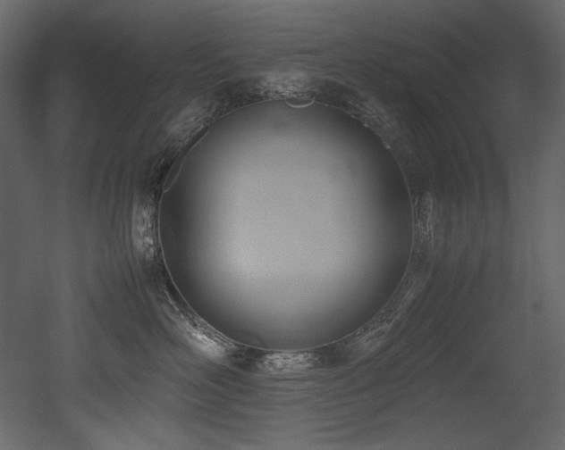 X0000052990526200507081152