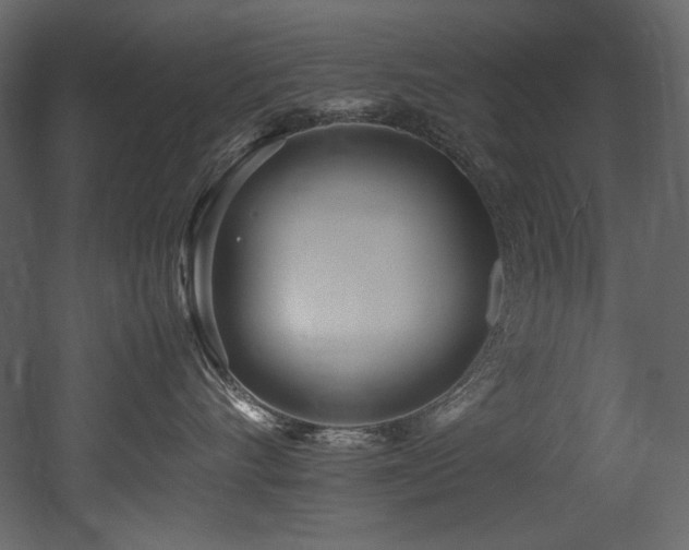 X0000052990528200507081152