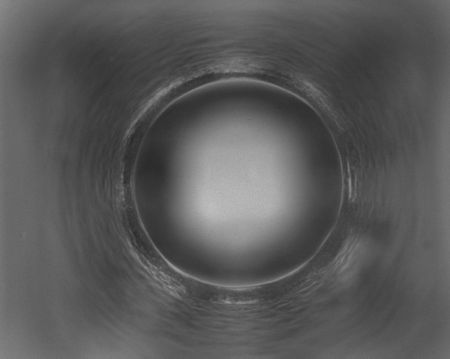 X0000052990531200507081151