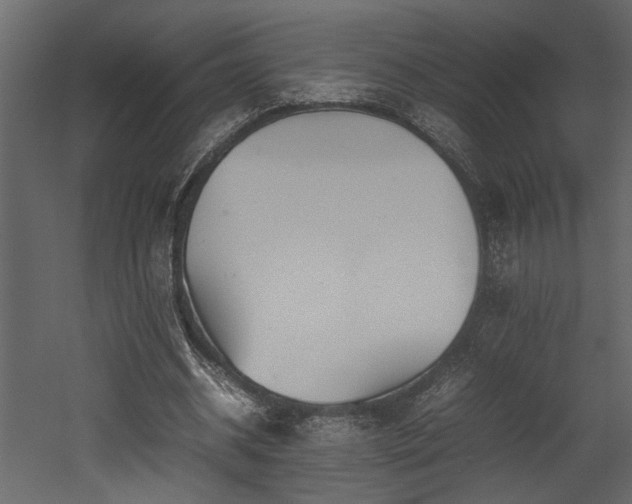 X0000052990534200507081152