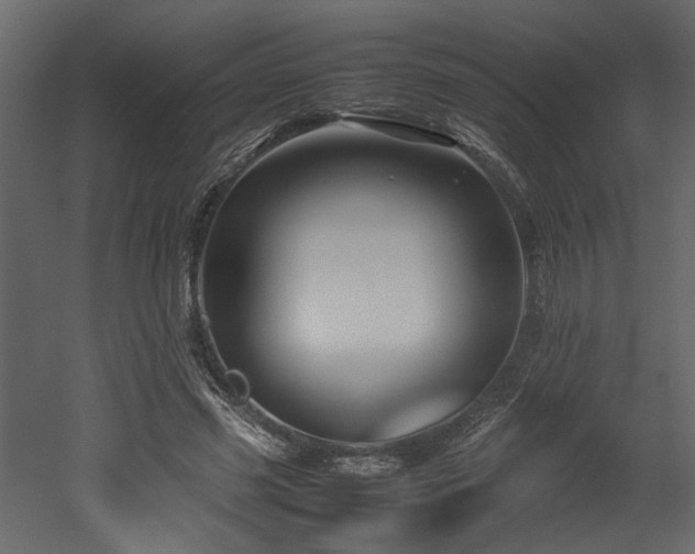 X0000052990541200507081152