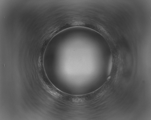 X0000052990549200507081152