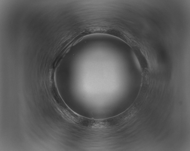 X0000052990550200507081152