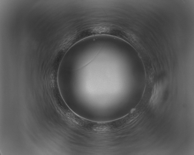 X0000052990551200507081152