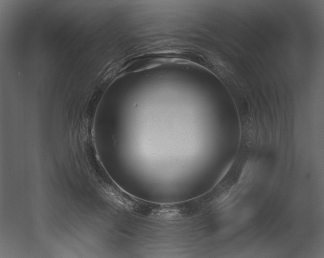 X0000052990554200507081152