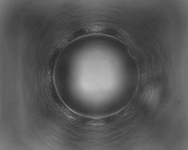 X0000052990555200507081152
