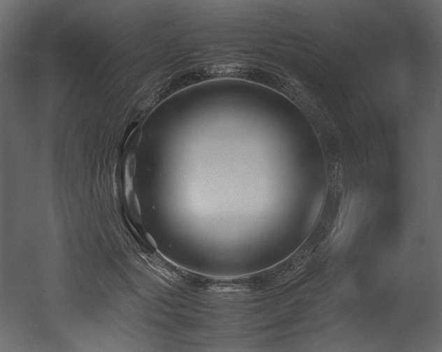 X0000052990557200507081152