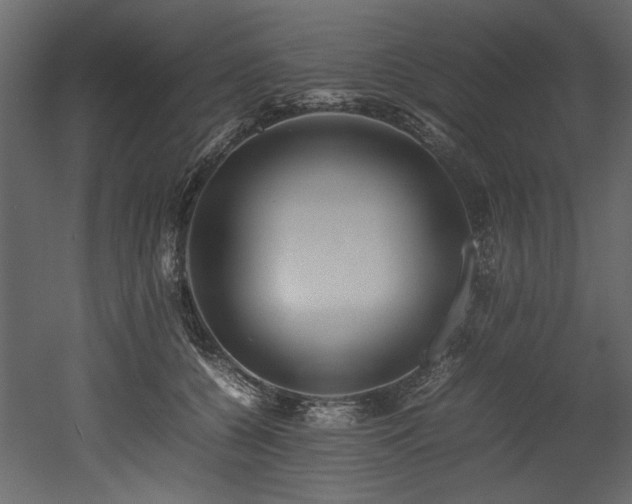 X0000052990560200507081152