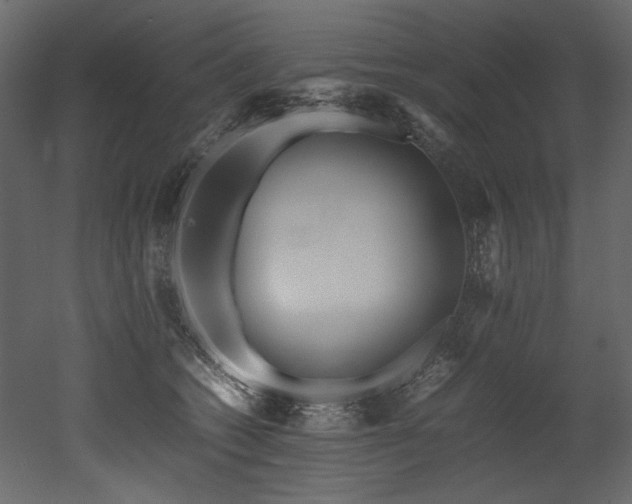 X0000052990562200507081152