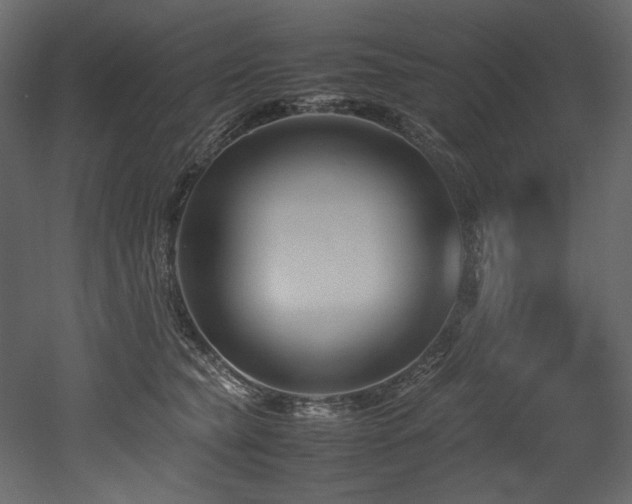 X0000052990565200507081152