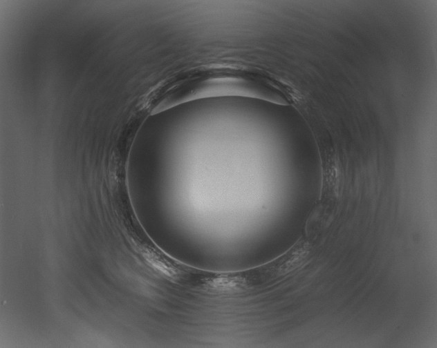 X0000052990566200507081152