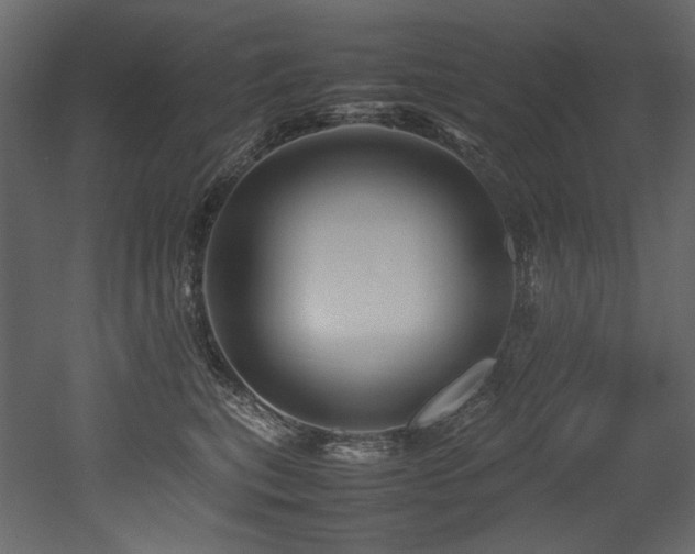 X0000052990567200507081152
