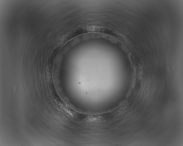 X0000052990569200507081152