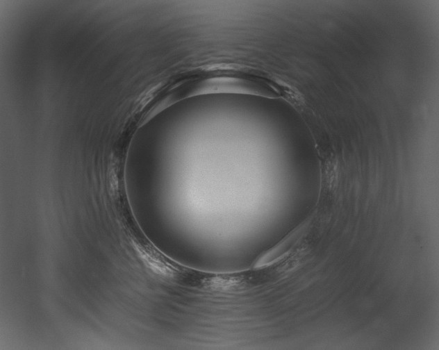 X0000052990570200507081152