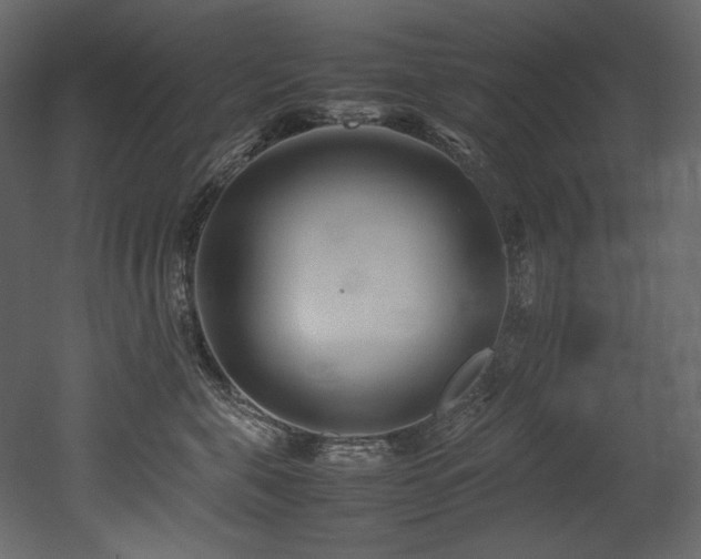 X0000052990571200507081152