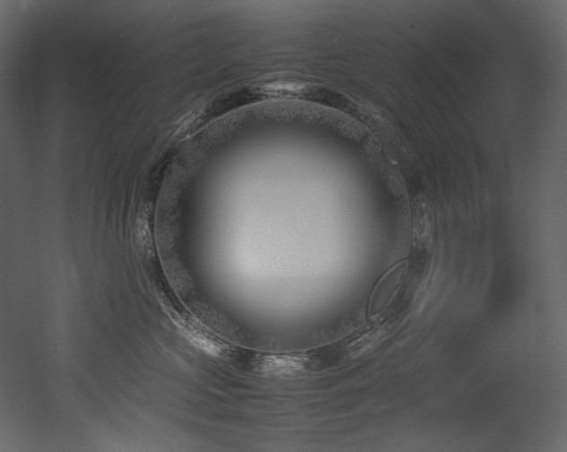 X0000052990573200507081152