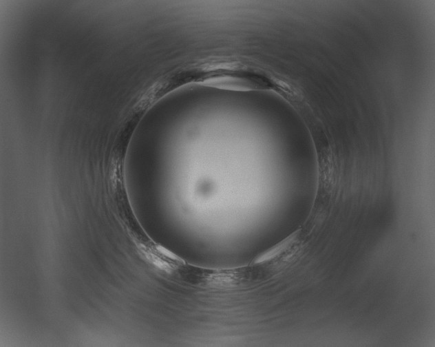 X0000052990574200507081152