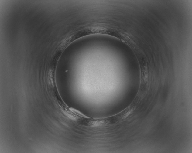 X0000052990575200507081152