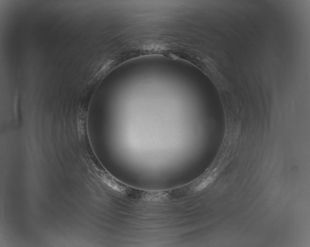 X0000052990576200507081152