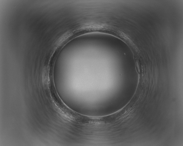 X0000052990582200507081151