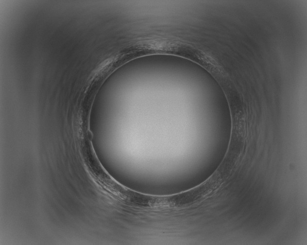 X0000052990587200507081151