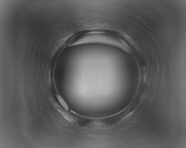 X0000052990589200507081151