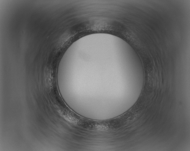 X0000052990592200507081151