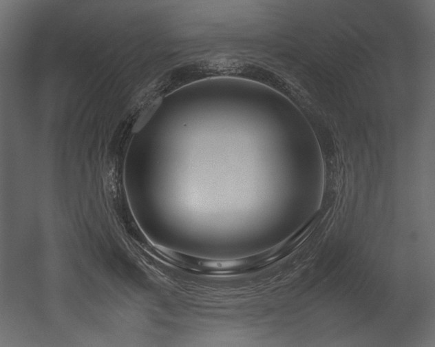 X0000052990597200507081151