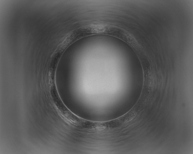 X0000052990598200507081151