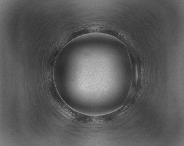 X0000052990601200507081151