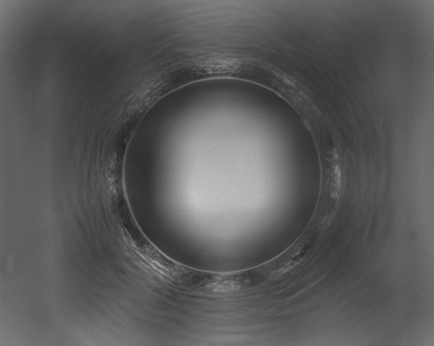 X0000052990604200507081151