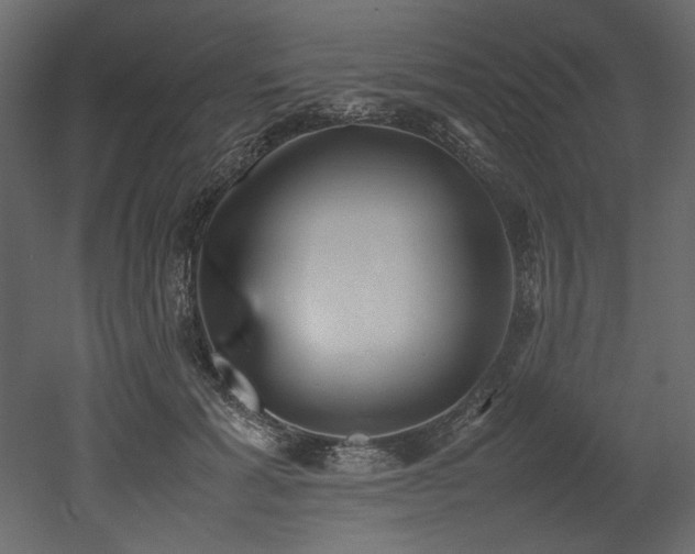 X0000052990605200507081151