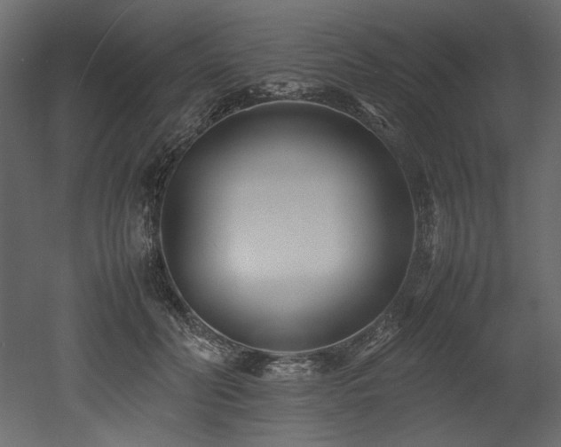 X0000052990606200507081151