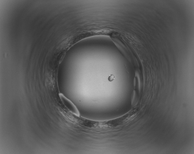 X0000052990607200507081151