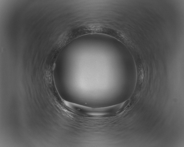 X0000052990609200507081151