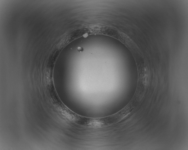 X0000052990610200507081151