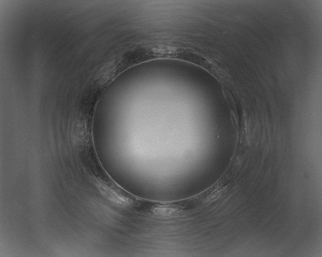 X0000052990614200507081151