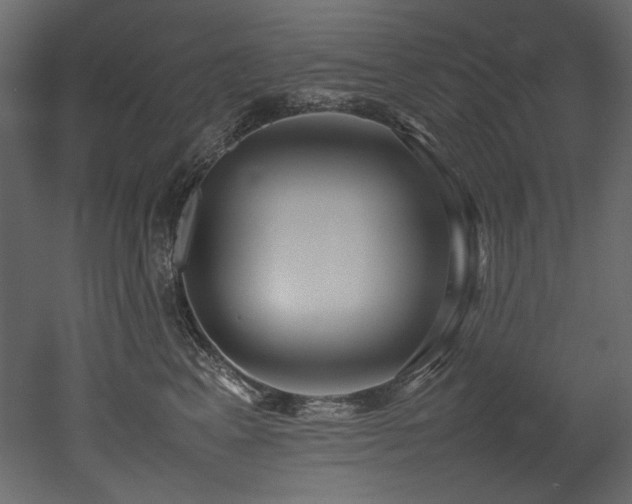 X0000052990617200507081151