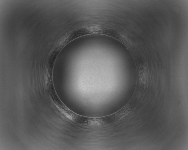 X0000052990618200507081151